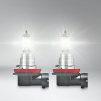 H8 Original OEM Spare Bulb
